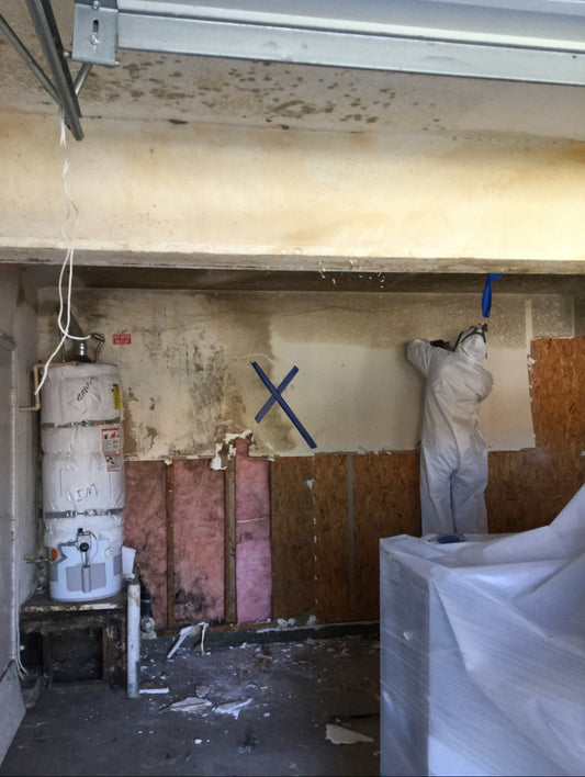 MOLD REMEDIATION