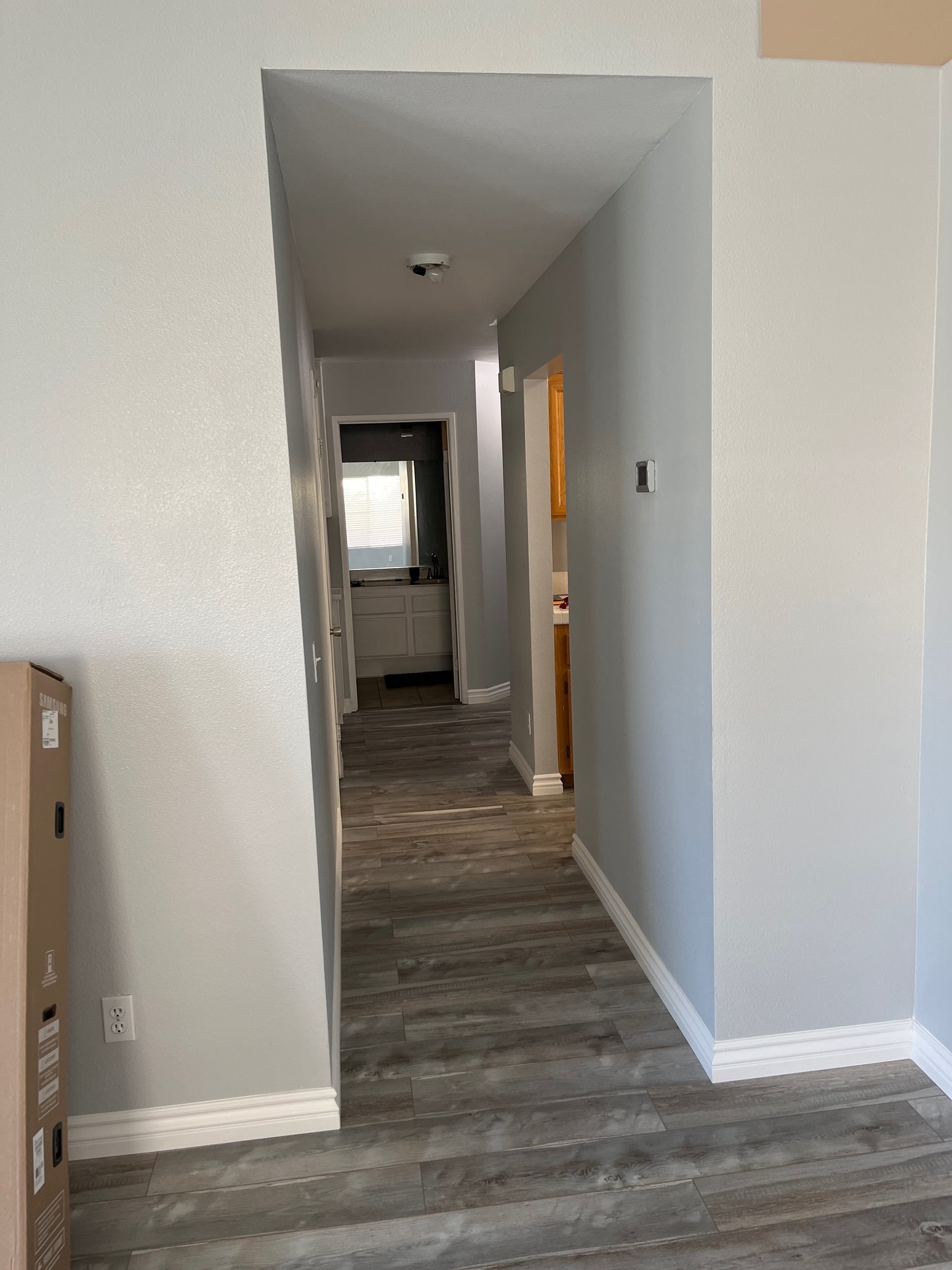 Interior Room painting