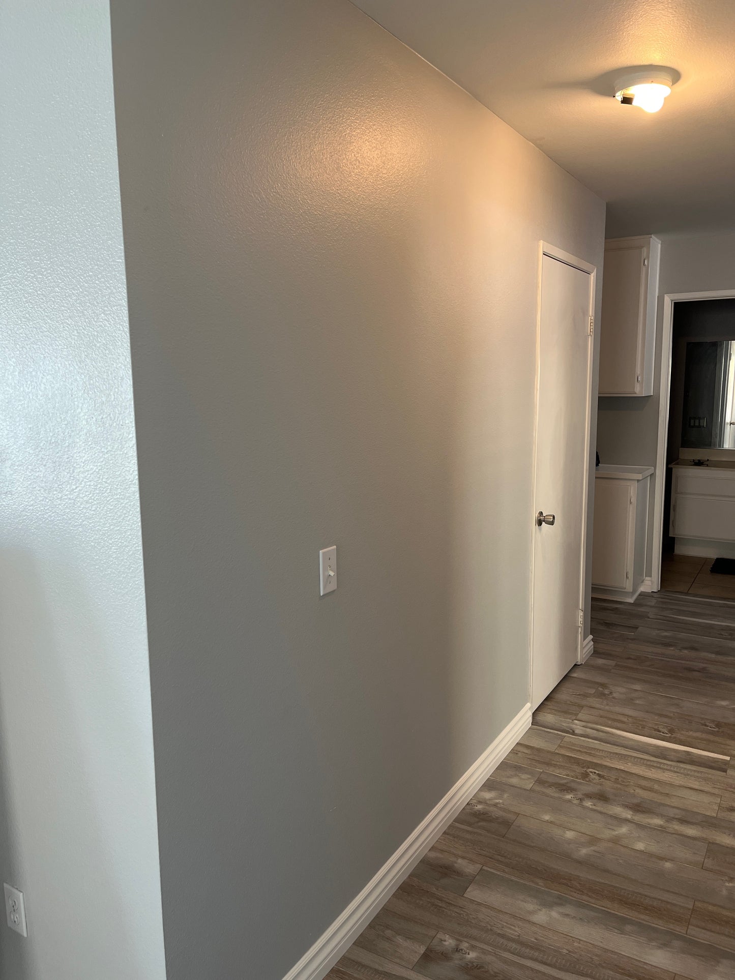 Interior Room painting