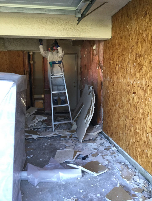 MOLD REMEDIATION