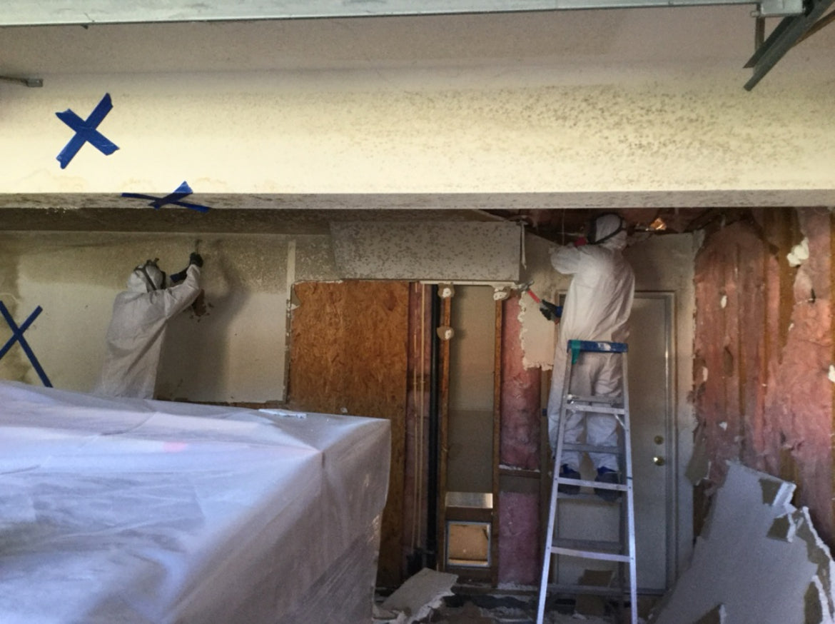 MOLD REMEDIATION