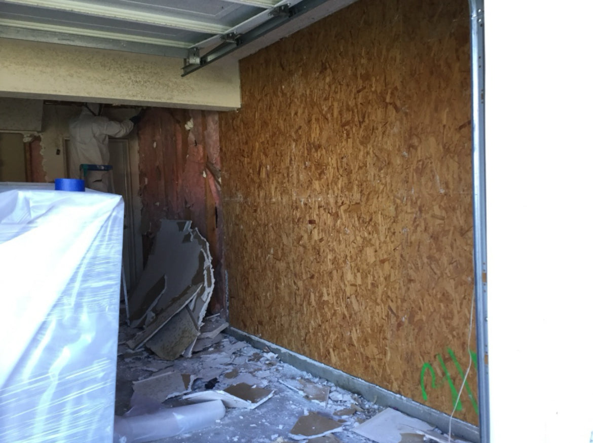 MOLD REMEDIATION