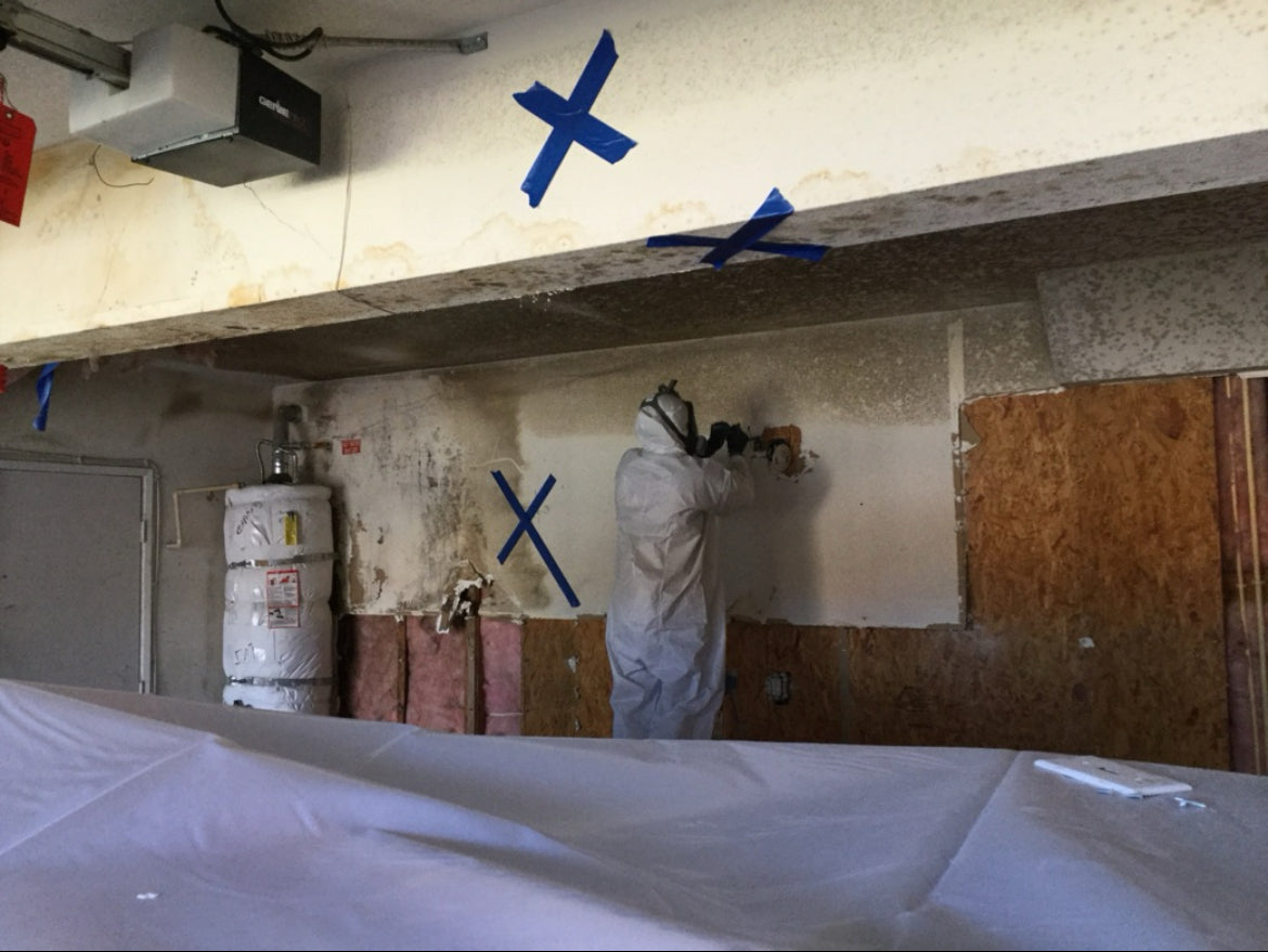 MOLD REMEDIATION