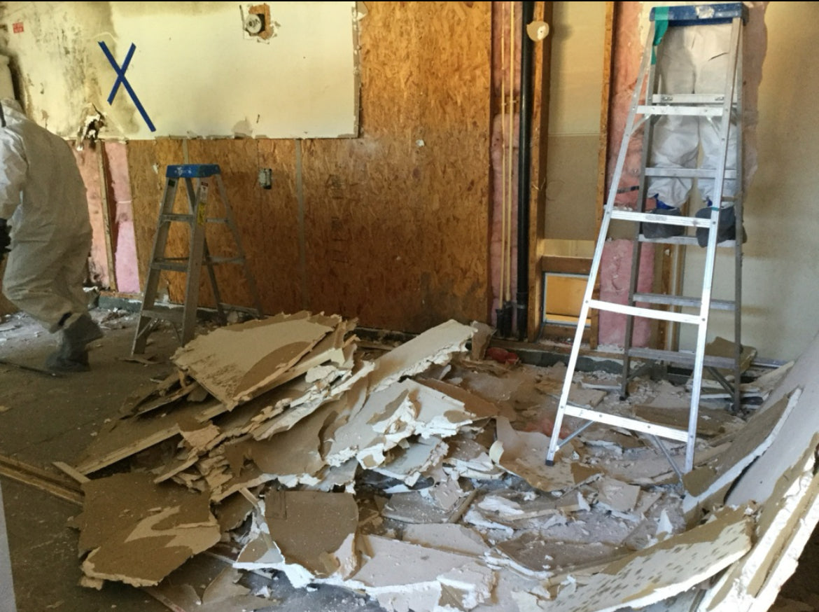 MOLD REMEDIATION